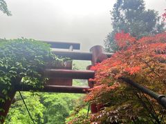 -青城山