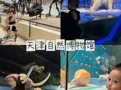 -天津自然博物馆