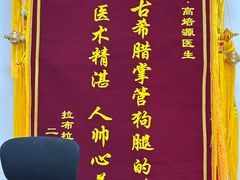 -派美特宠物医院·核磁CT·骨科肿瘤·疑难转诊(沈农禾丰店)