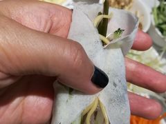 -杨姨妈丝娃娃(花果园店)