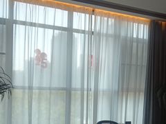 -鸽子侯·家宴·平价海鲜(绿地店)