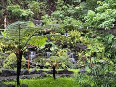 -深圳仙湖植物园