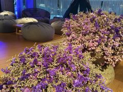 -庄子梦然·城市微度假·24h按摩·推拿·spa