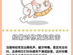 -爱侣宠医·鹦鹉专科·小型哺乳类·异宠专科(灵石路店)