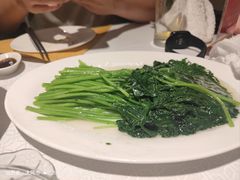 清炒茼蒿-弘雅饭店