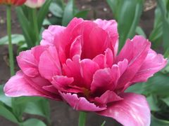 -长春公园(普阳街道)