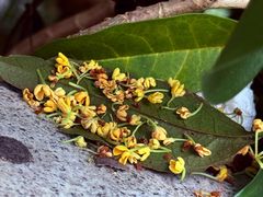 -水濂山森林公园