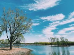 -大兴滨河森林公园