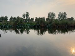 -滕州微山湖红荷湿地景区