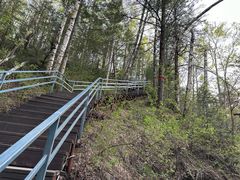 -峡谷浮石林景区