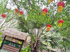 -海南热带野生动植物园