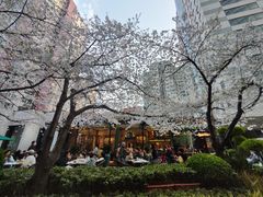 -玛格萝妮比萨屋(四平店)