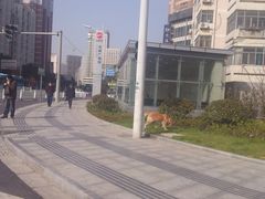 -东林广场(地铁站)