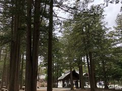 -北海道神宫