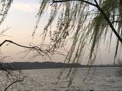 景点-柳浪闻莺公园