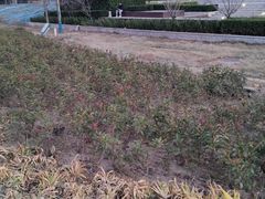 -郑州高新·万科广场
