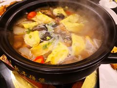 -东哥紫阳蒸盆子(旺座·现代城店)