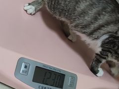 -艾贝尔宠物医院 ·内科全科(梁溪路店)