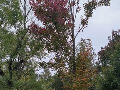 -meland·儿童乐园·游戏厅娃娃机·电玩Xbox(成都合生汇店)