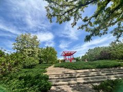 -大望京公园