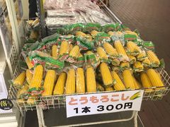-大沼展望閣