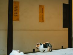 -西园戒幢律寺