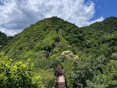 -大岭沟猕猴桃谷风景区