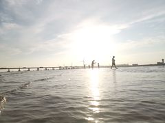 -南汇新城海滩