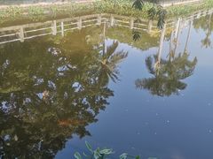 -金砂公园