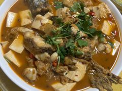 -煲来饱去冷水鱼