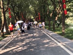 -东湖落雁景区