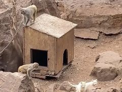 -昆明动物园