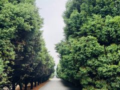 -秦始皇帝陵博物院-丽山园