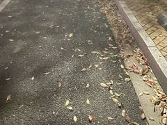 -南京市江宁方山