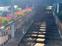 -海口市第一中学