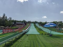 -北京鹿世界主题园