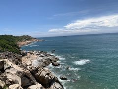 -广东惠东海龟国家级自然保护区