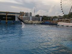 -三亚海昌梦幻海洋不夜城