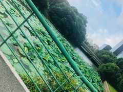 -白塘生态植物园