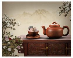 -芒果树国际儿童摄影(月亮河店)