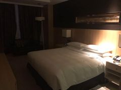 -上海漕河泾万丽酒店