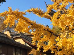 -龙华寺