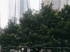 -广州希尔顿逸林酒店-OPEN開·全日制餐厅·海鲜·小火锅·自助餐(东风路店)