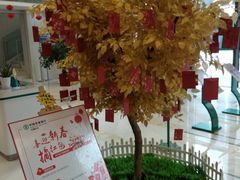 -中国农业银行(无锡分行)