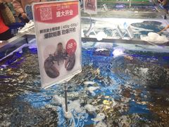 -盒马鲜生(大成店)