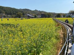 -红山村