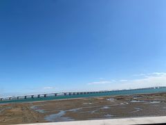 -集美鳌园景区