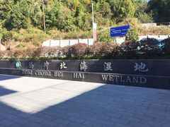 门面-腾冲北海湿地