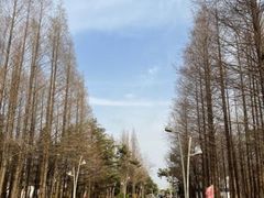 -渡海小渔村.老辈日照菜