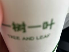 -一树一叶·福建茶档(石鼓路店)